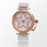 满天星彩钻时尚女士腕表W50058L